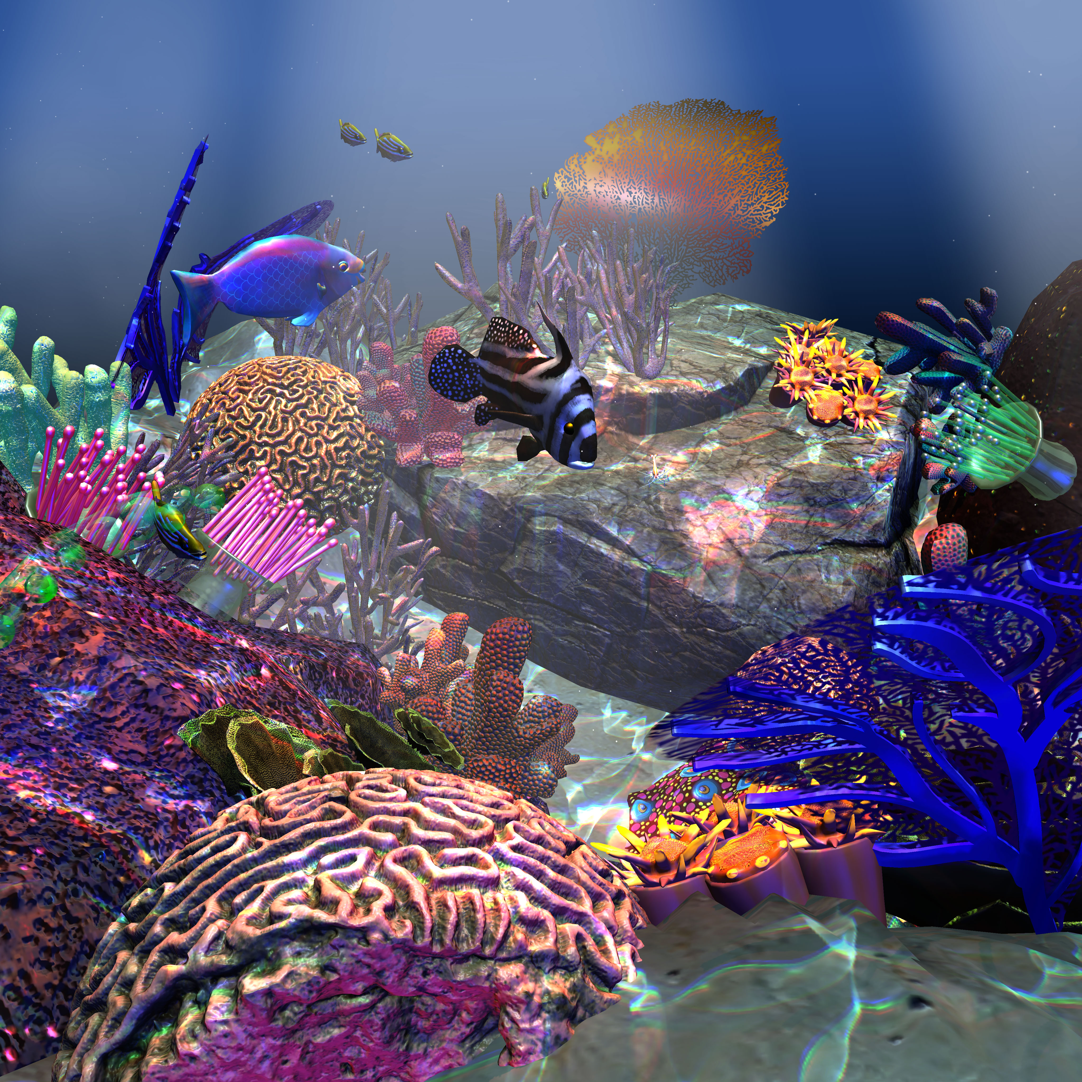 image of fish Augmented Reality Project