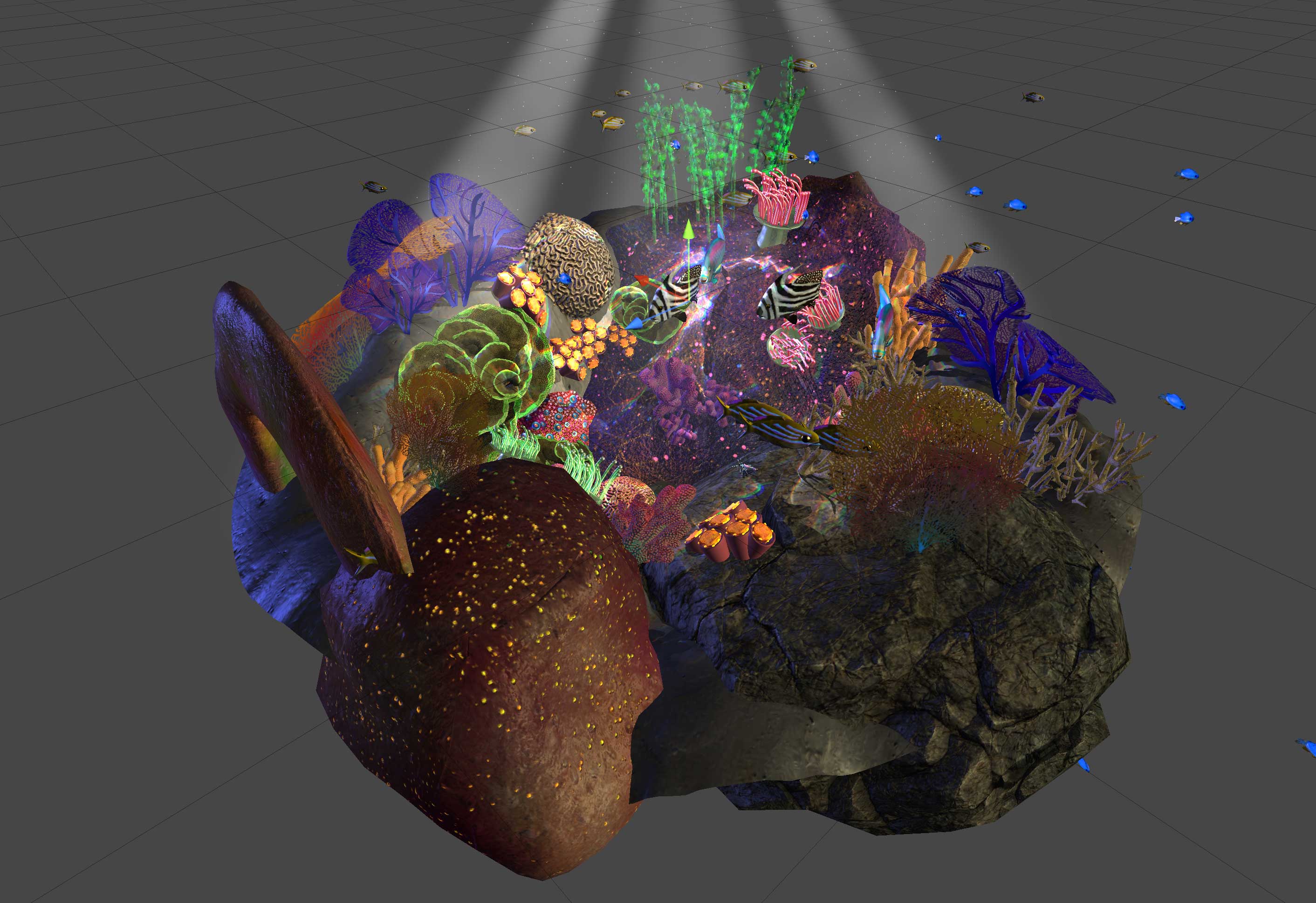 image of fish Augmented Reality Project